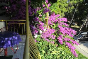 One bedroom apartment Ivan Dolac, Hvar (A-4584-c(