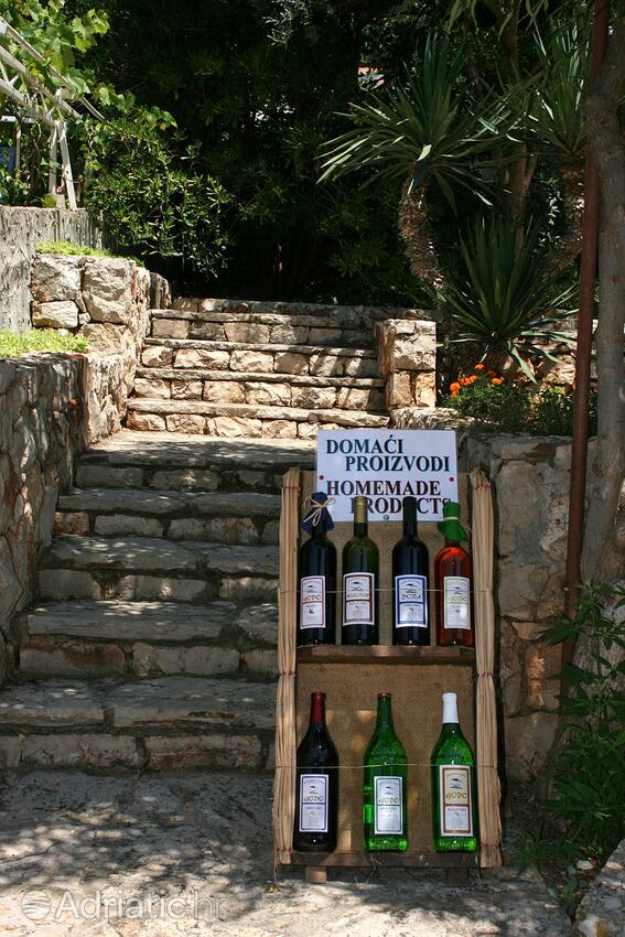 Courtyard - Apartments by the sea Ivan Dolac, Hvar