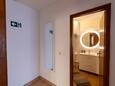 Solotiša, Коридор в размещении типа apartment, Домашние животные допускаются и WiFi.