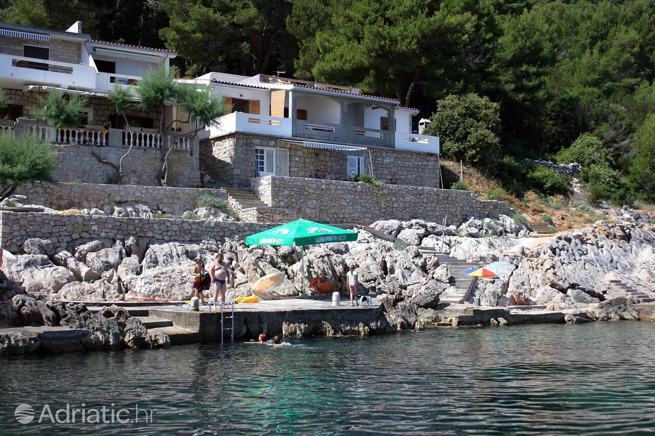 Appartamenti accanto al mare Baia Solotisa, Lesina - Hvar - 4623