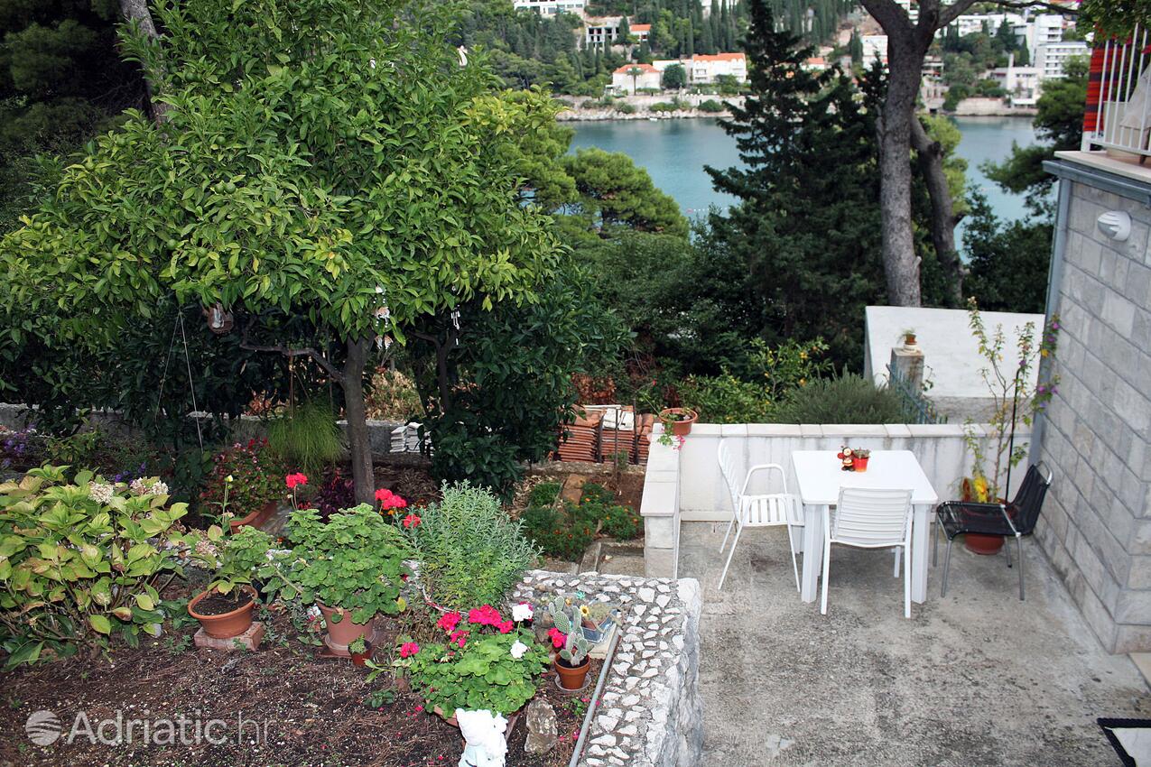Apartamentos junto al mar Dubrovnik - 4691