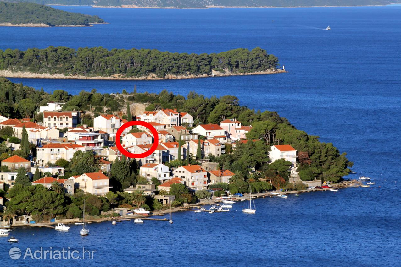 Ferienwohnungen und Zimmer am Meer Dubrovnik - 4704