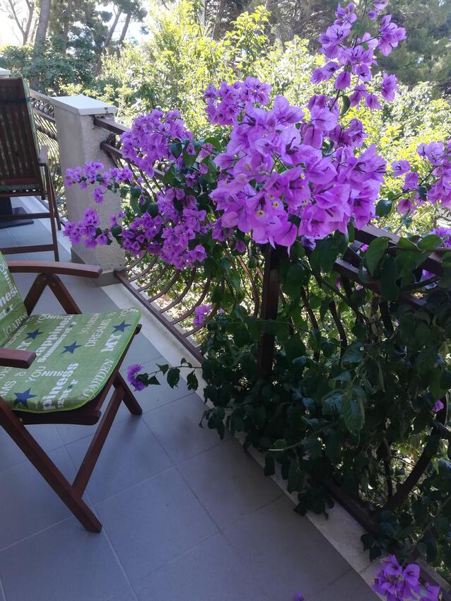 A-4821-a - Alloggi privati - Appartamenti accanto al mare Lokva Rogoznica, Almissa - Omiš
