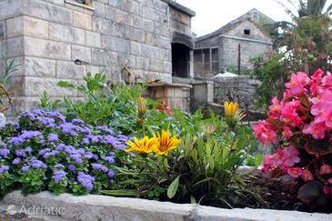 Nyaralóház Internet hozzáféréssel Zrnovo, Korcula - 4876