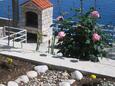 Apartmani uz more Sobra, Mljet - 4889