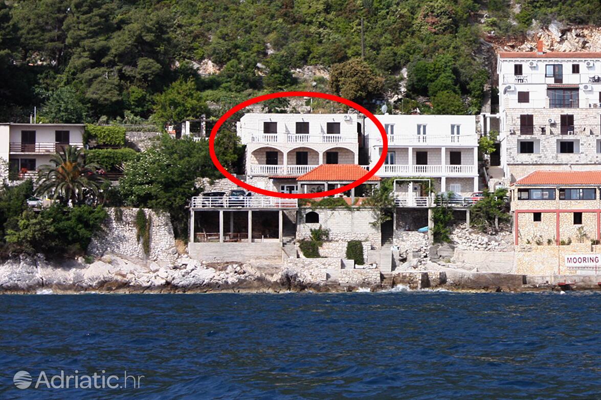 Apartmani uz more Sobra, Mljet - 4889