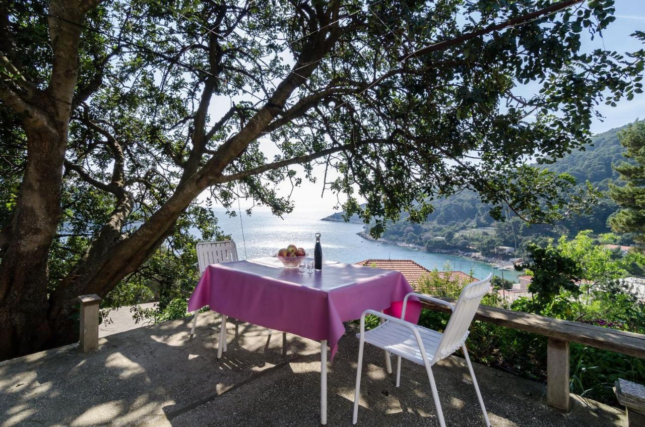 Apartments by the sea Cove Saplunara, Mljet - 4901