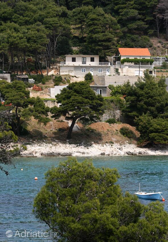 Property - Apartments by the sea Cove Saplunara, Mljet