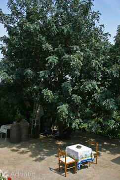 Apartmány a pokoje u moře Zátoka Saplunara, Mljet - 4907