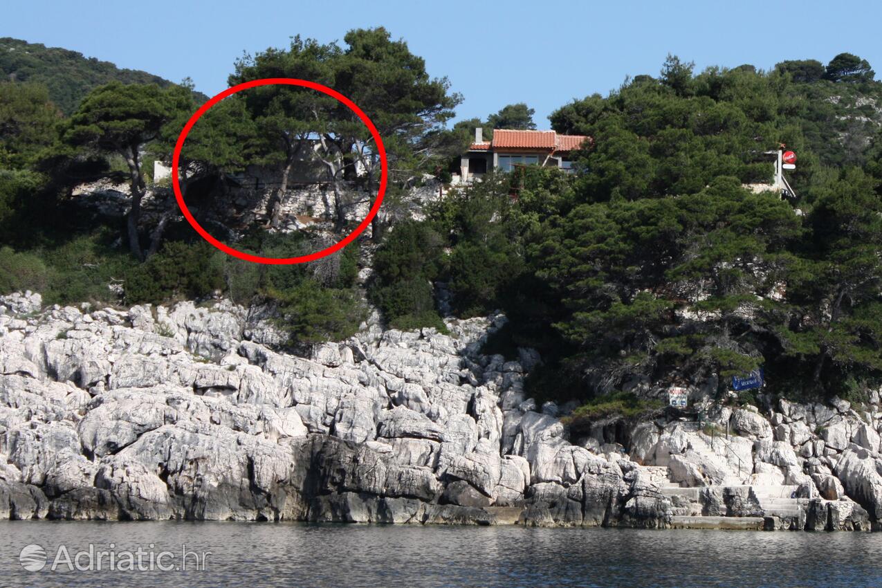 Ferienwohnungen am Meer Bucht Saplunara, Mljet - 4914