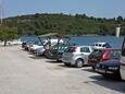 Rooms by the sea Pomena, Mljet - 4916