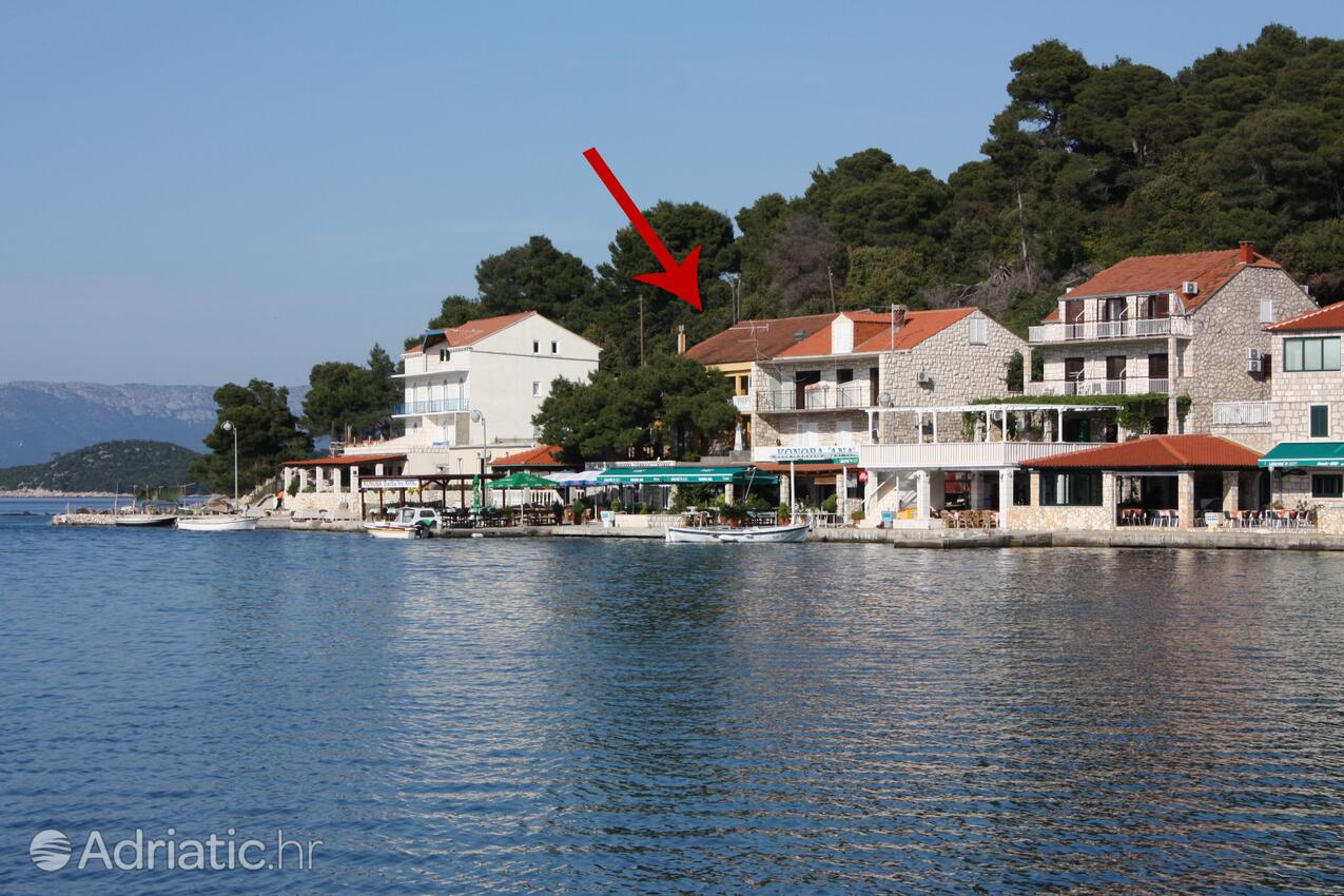 Rooms by the sea Pomena, Mljet - 4916