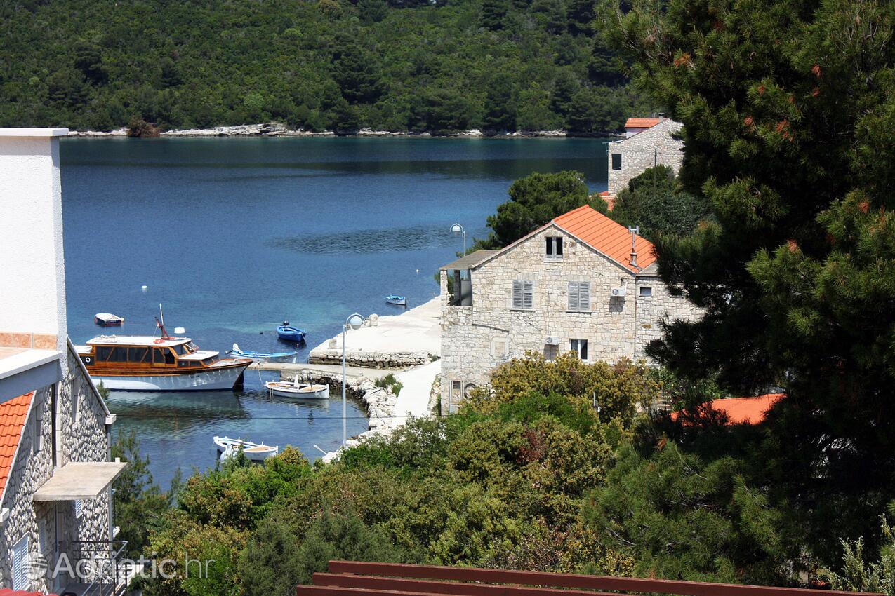 A-4917-a - Private accommodation - Apartments and rooms by the sea Pomena, Mljet
