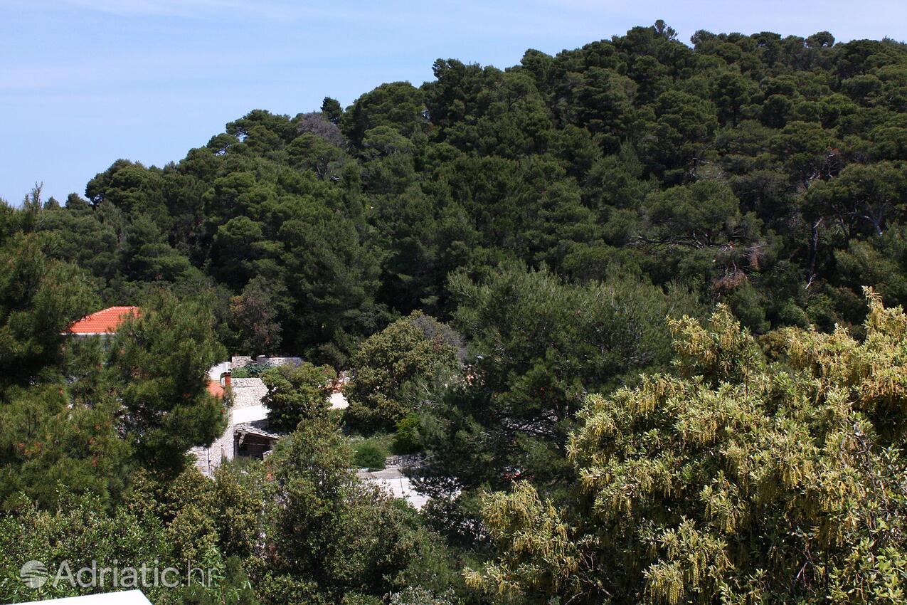 A-4917-a - Private accommodation - Apartments and rooms by the sea Pomena, Mljet