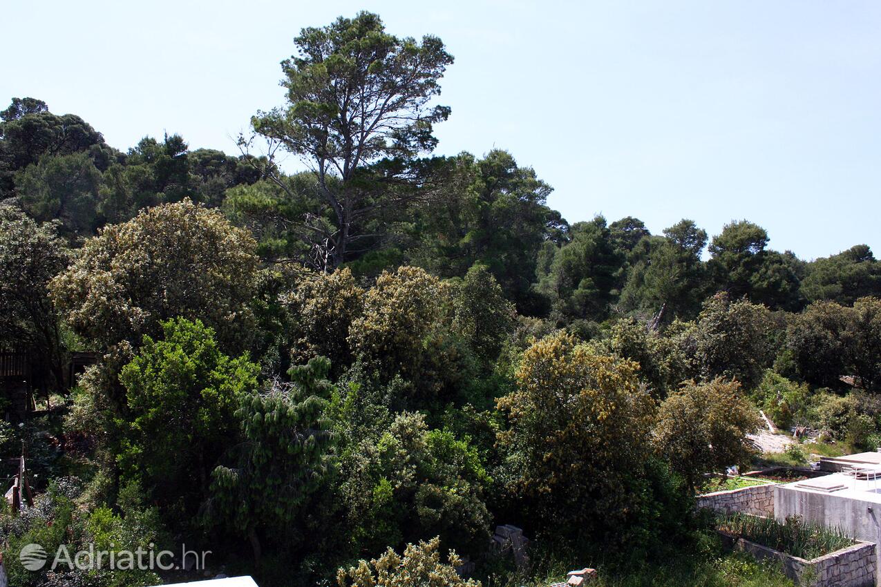 A-4917-a - Private accommodation - Apartments and rooms by the sea Pomena, Mljet