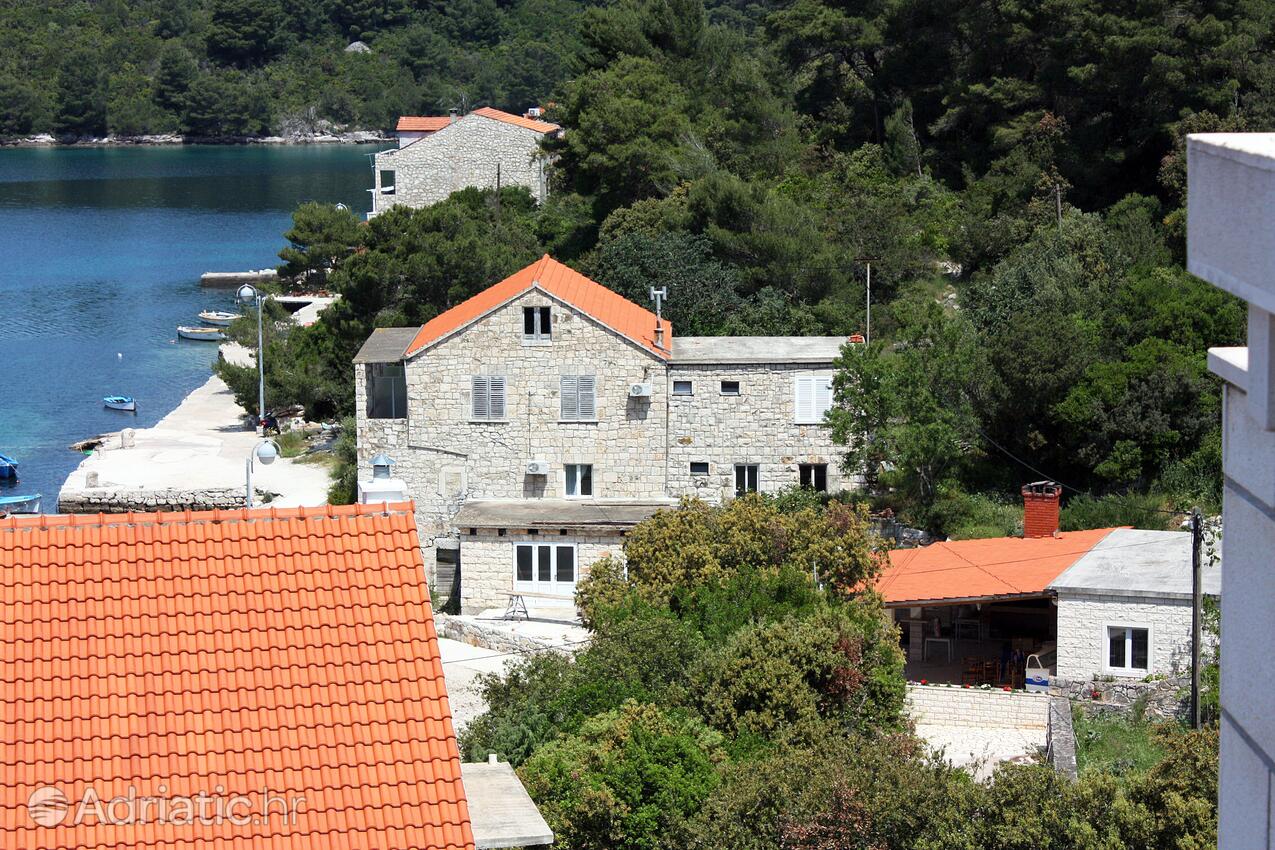 A-4917-b - Private accommodation - Apartments and rooms by the sea Pomena, Mljet