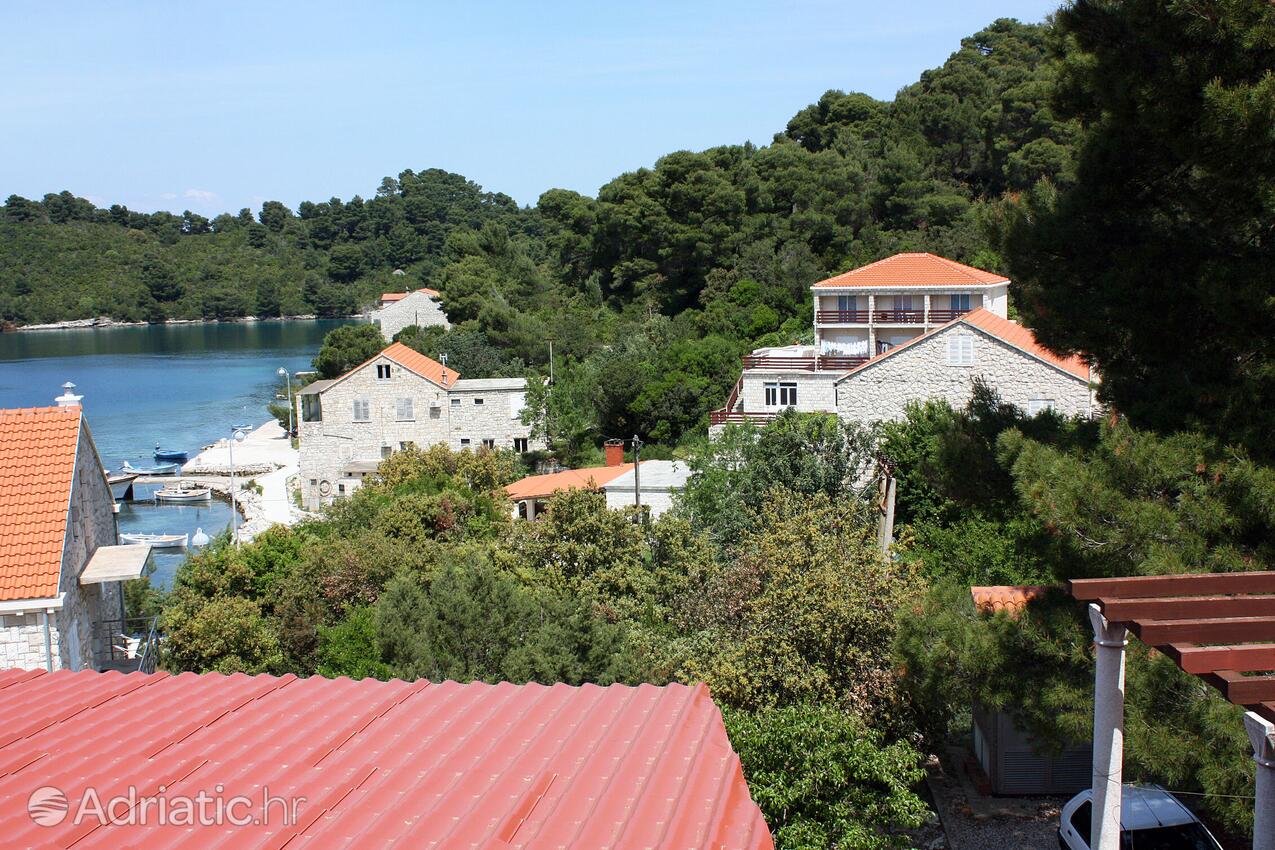 A-4917-c - Private accommodation - Apartments and rooms by the sea Pomena, Mljet