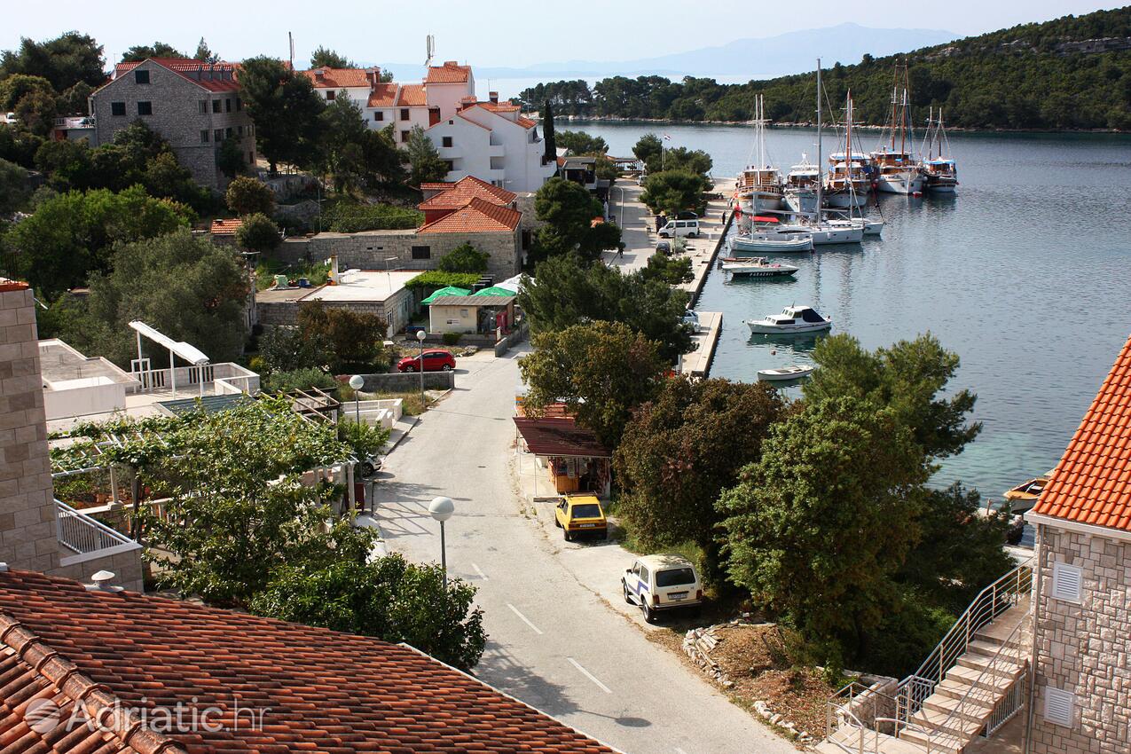 A-4917-d - Private accommodation - Apartments and rooms by the sea Pomena, Mljet