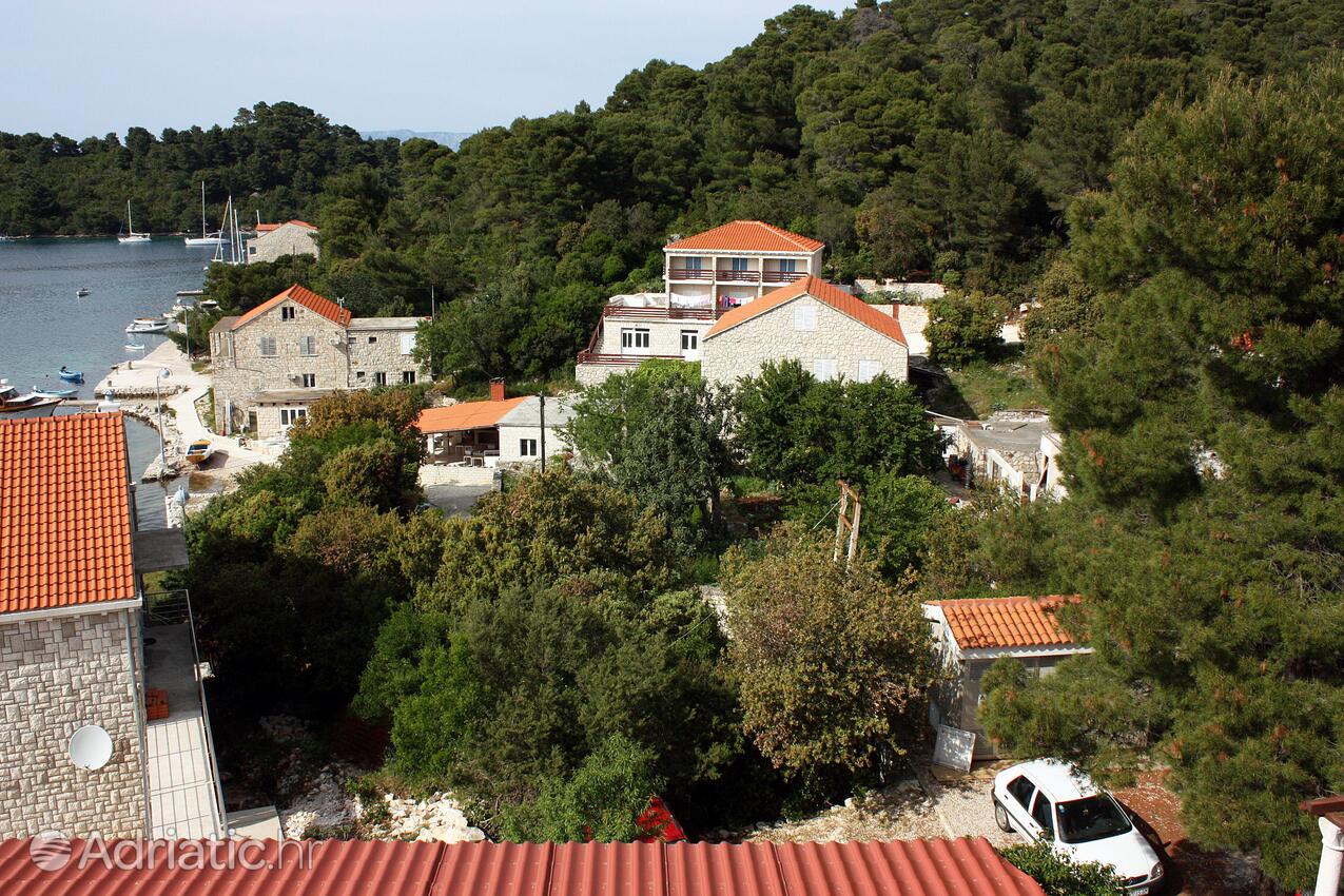 A-4917-d - Private accommodation - Apartments and rooms by the sea Pomena, Mljet