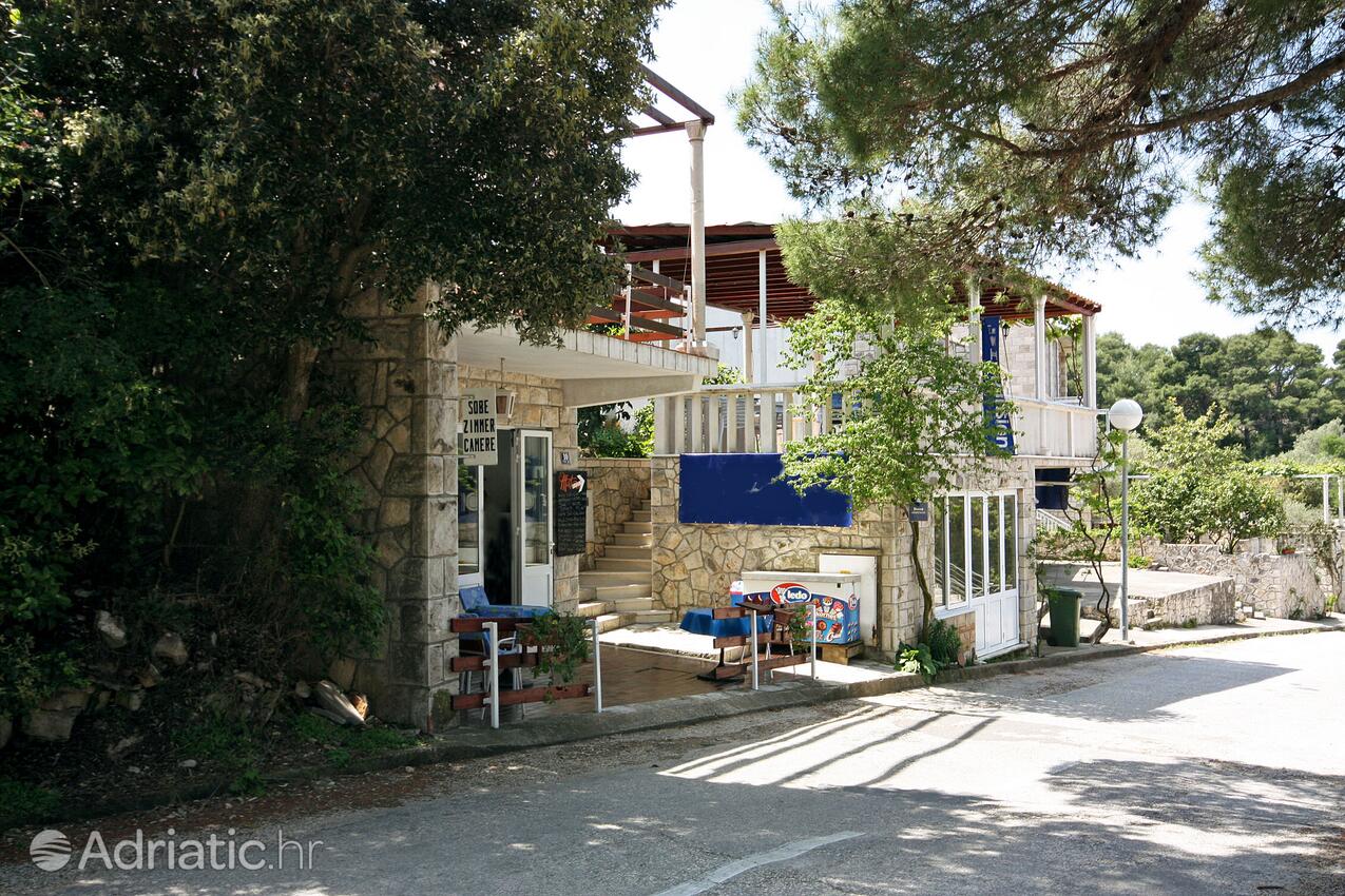Courtyard - Apartments and rooms by the sea Pomena, Mljet