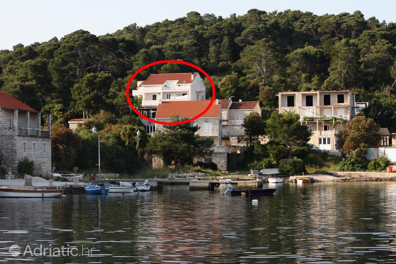 Apartmani i sobe uz mere Pomena, Mljet - 4917