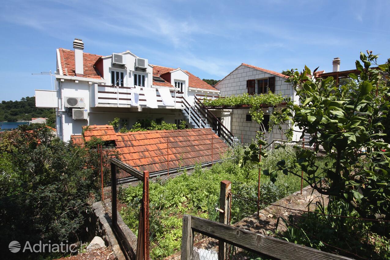 Property - Apartments and rooms by the sea Pomena, Mljet
