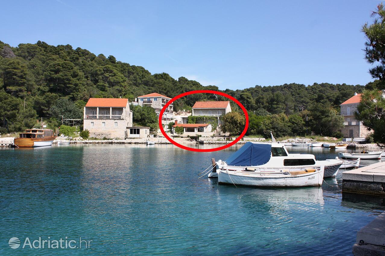 Rooms by the sea Pomena, Mljet - 4918