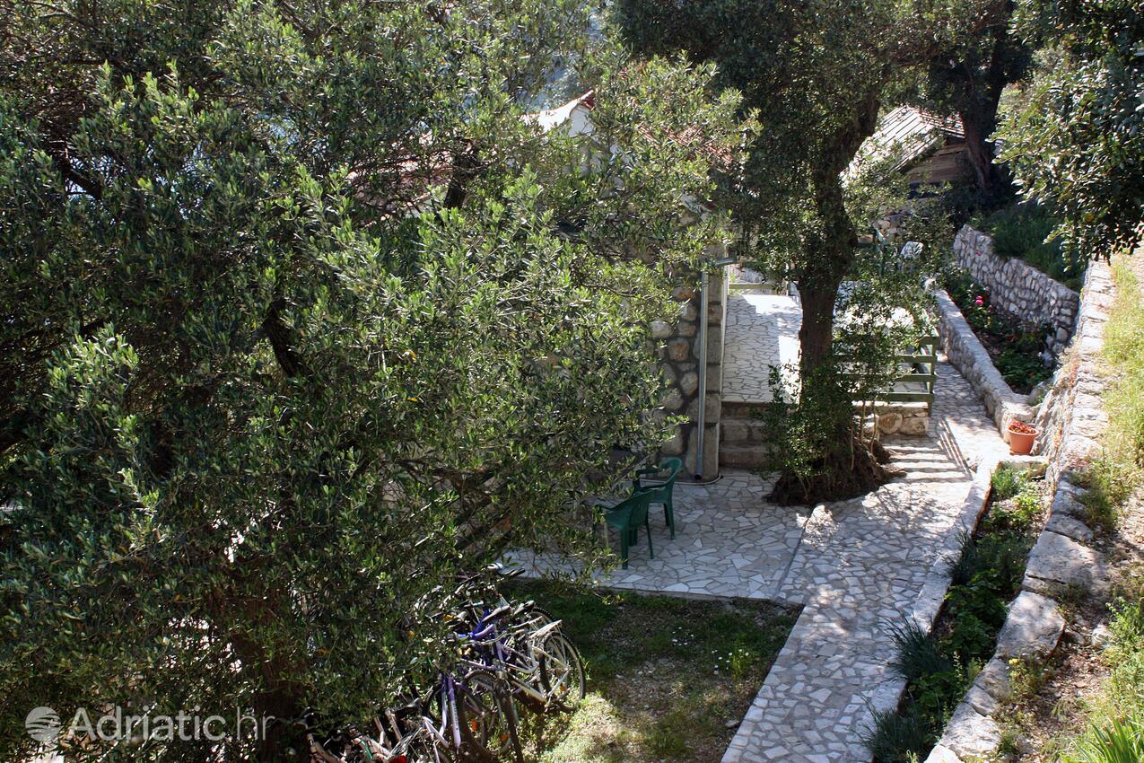Apartamentos junto al mar Babine Kuce, Mljet - 4927