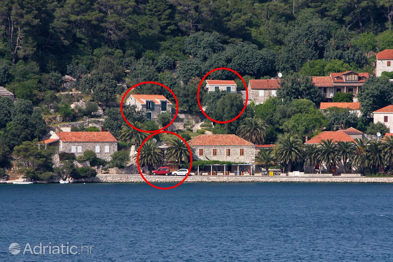 Apartamentos junto al mar Babine Kuce, Mljet - 4927