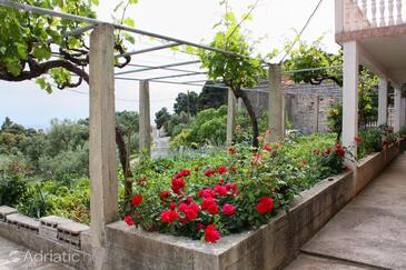 Appartamenti con parcheggio Ropa, Mljet - 4944