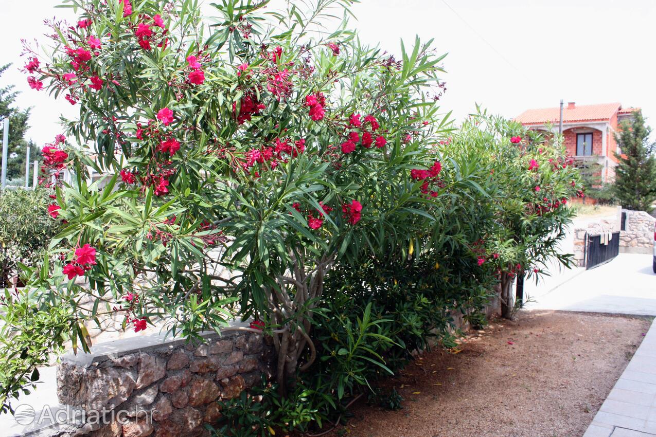 Ferienwohnungen mit Parkplatz Barbat, Rab - 5015