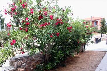 Apartamentos con parking Barbat, Rab - 5015