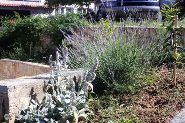 Apartmány s parkovištěm Supetarska Draga - Gonar, Rab - 5016