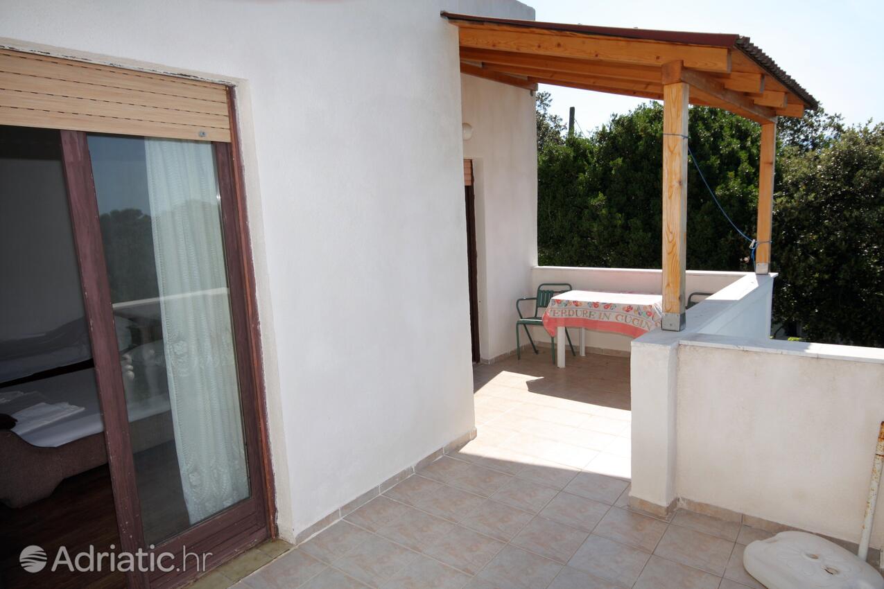A-5050-a - Alloggi privati - Appartamenti accanto al mare Suha Punta, Arbe - Rab