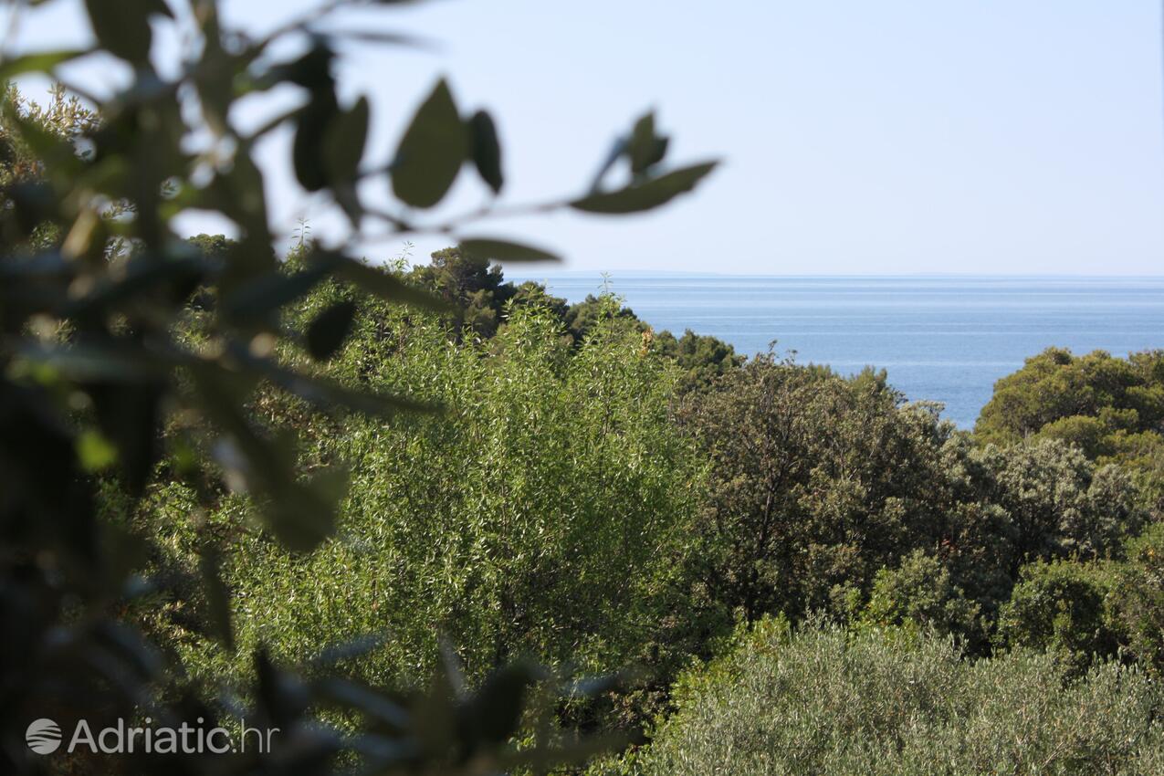 A-5050-a - Alloggi privati - Appartamenti accanto al mare Suha Punta, Arbe - Rab