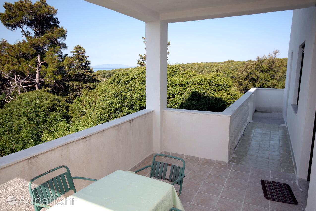 A-5050-b - Alloggi privati - Appartamenti accanto al mare Suha Punta, Arbe - Rab