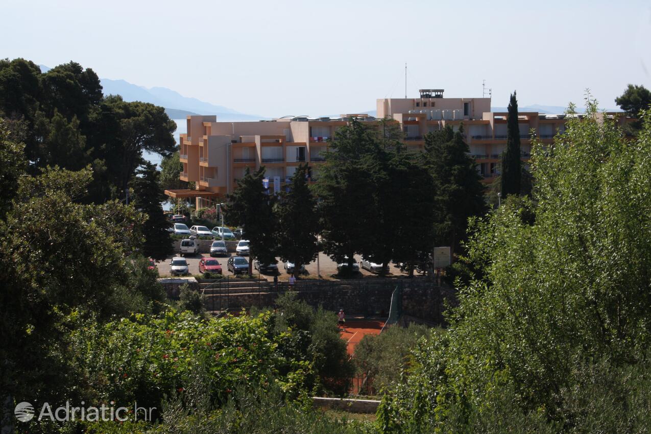 A-5050-b - Alloggi privati - Appartamenti accanto al mare Suha Punta, Arbe - Rab