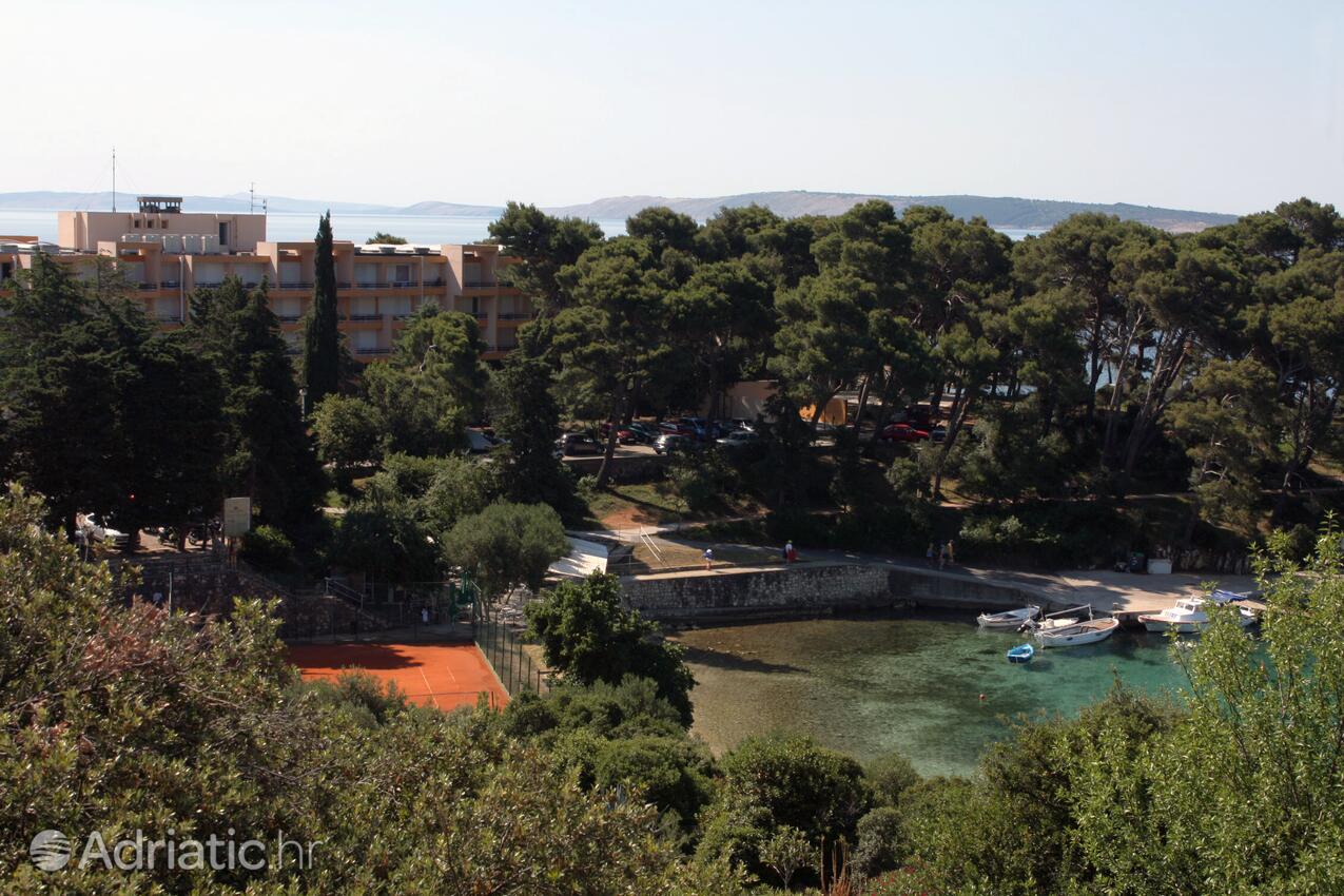 A-5050-c - Alloggi privati - Appartamenti accanto al mare Suha Punta, Arbe - Rab