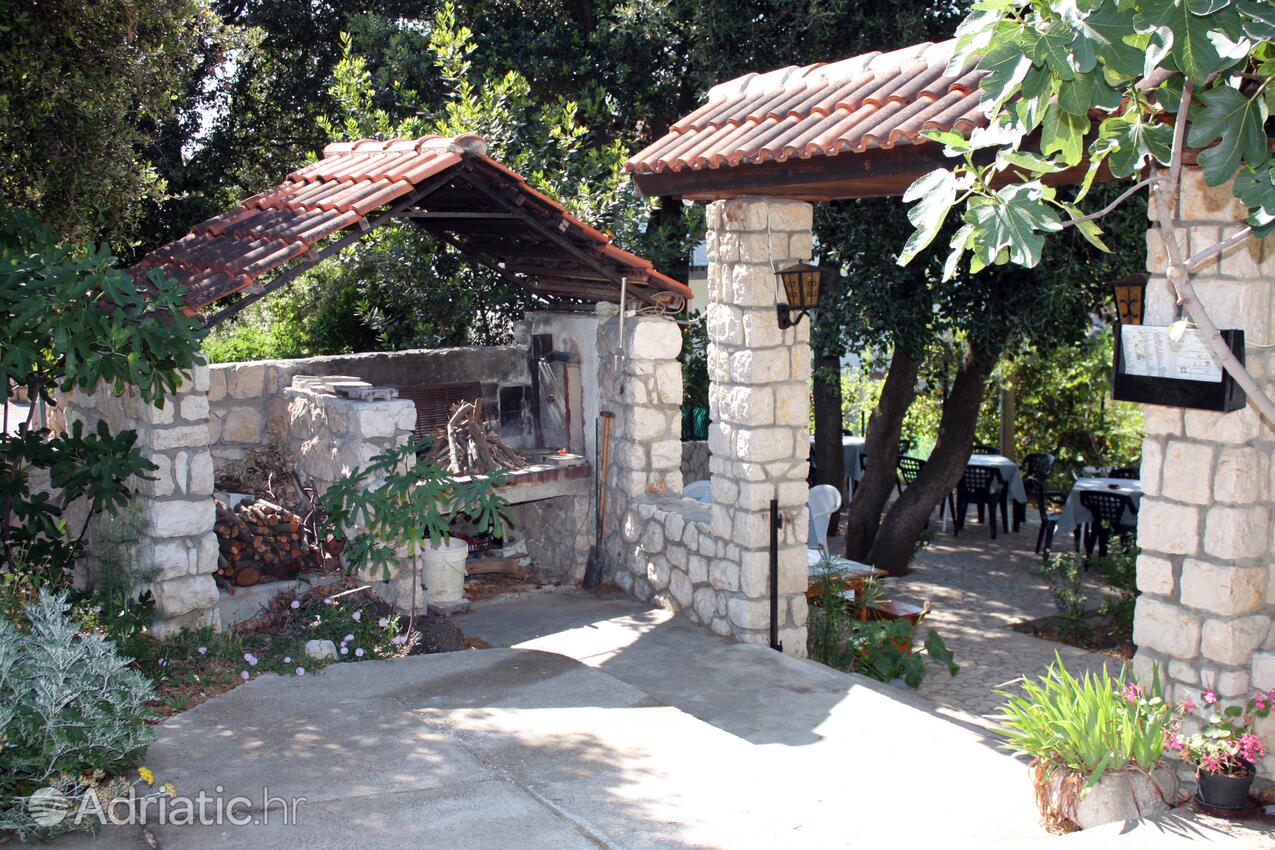 Giardino - Appartamenti accanto al mare Suha Punta, Arbe - Rab