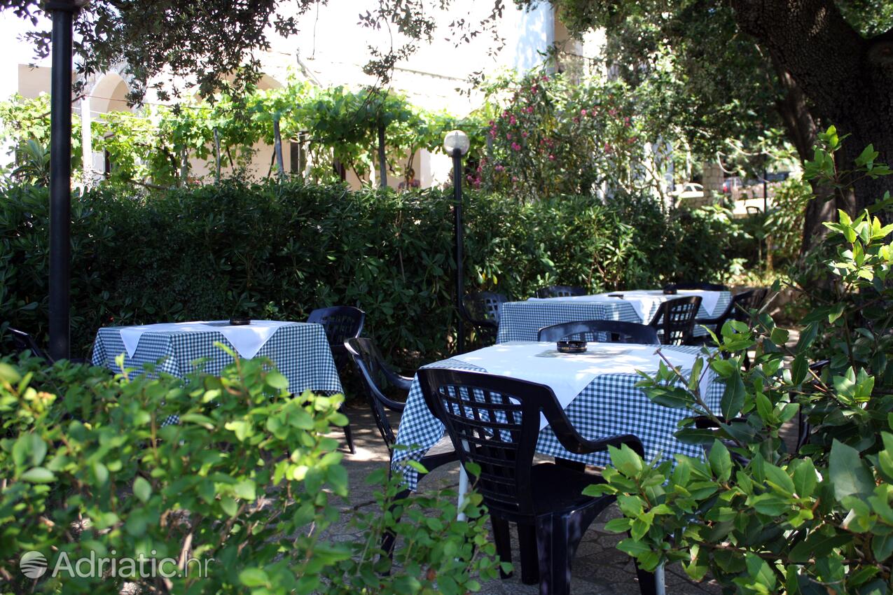 Giardino - Appartamenti accanto al mare Suha Punta, Arbe - Rab