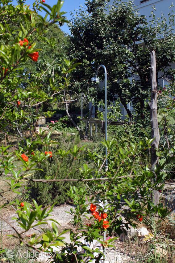 Giardino - Appartamenti accanto al mare Suha Punta, Arbe - Rab