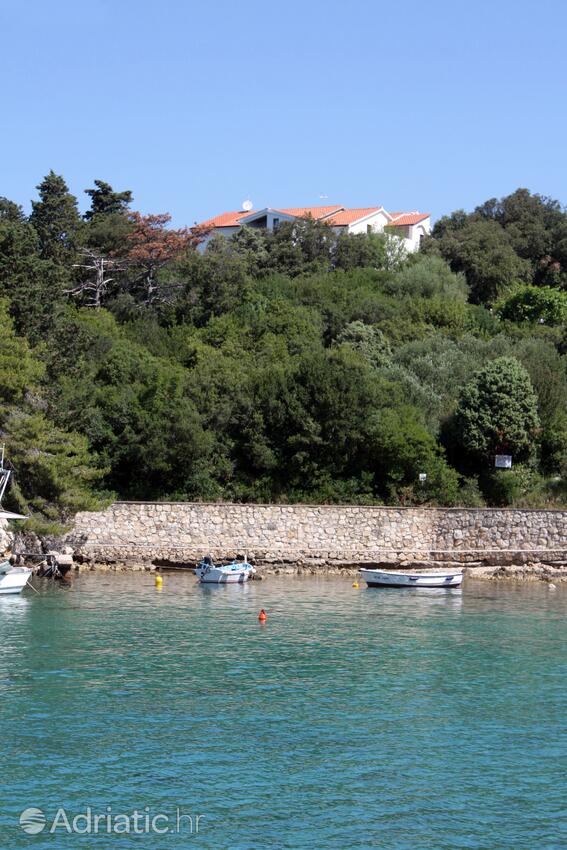Alloggio - Appartamenti accanto al mare Suha Punta, Arbe - Rab