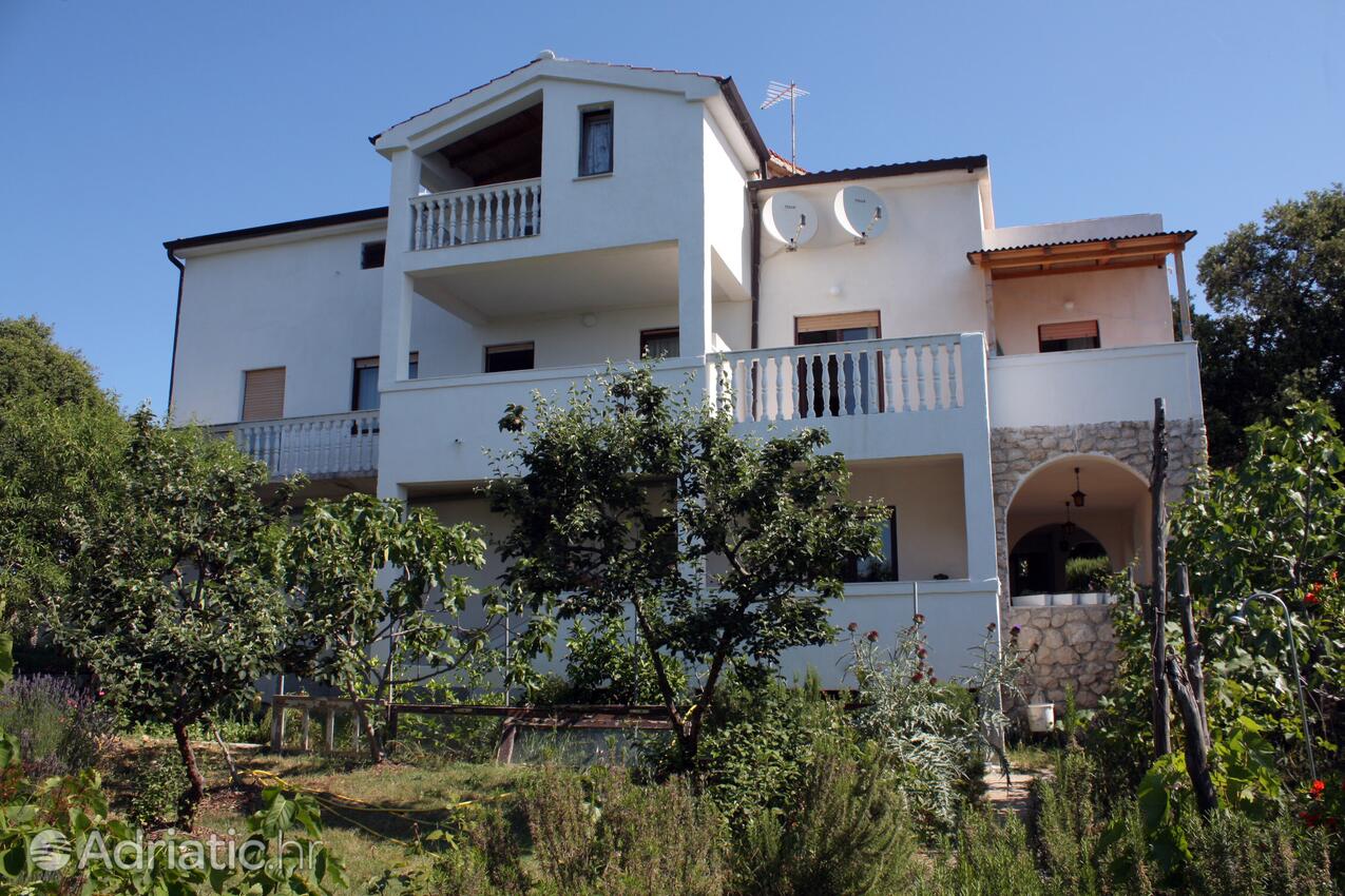 Alloggio - Appartamenti accanto al mare Suha Punta, Arbe - Rab