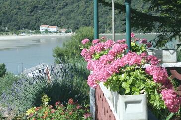 Apartments and rooms with parking space Kampor, Rab - 5064 Adriatic.hr