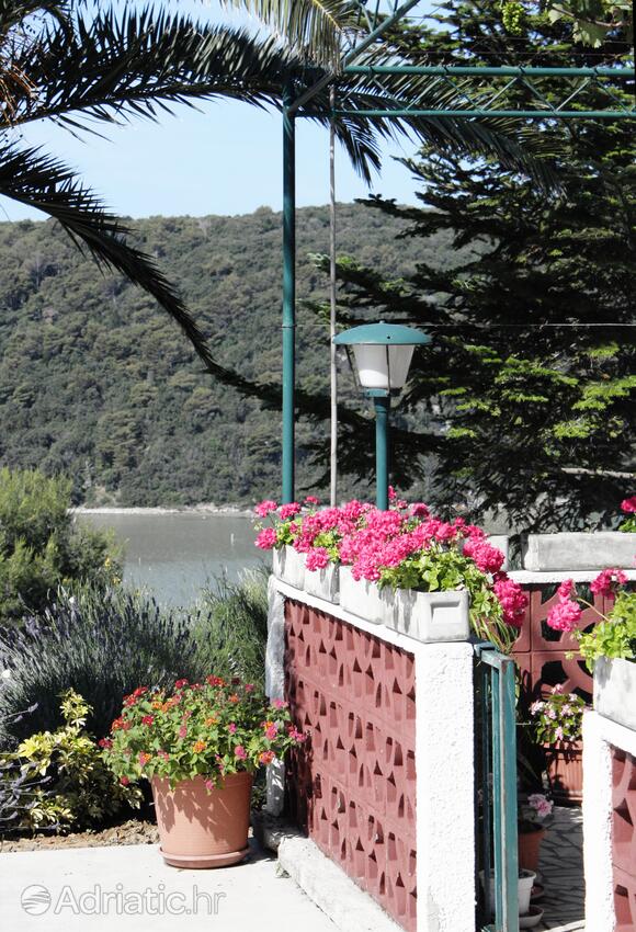 Giardino - Appartamenti e camere con parcheggio Kampor, Arbe - Rab