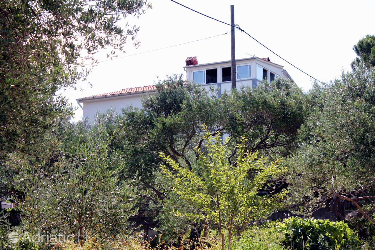 Alloggio - Appartamenti e camere con parcheggio Kampor, Arbe - Rab