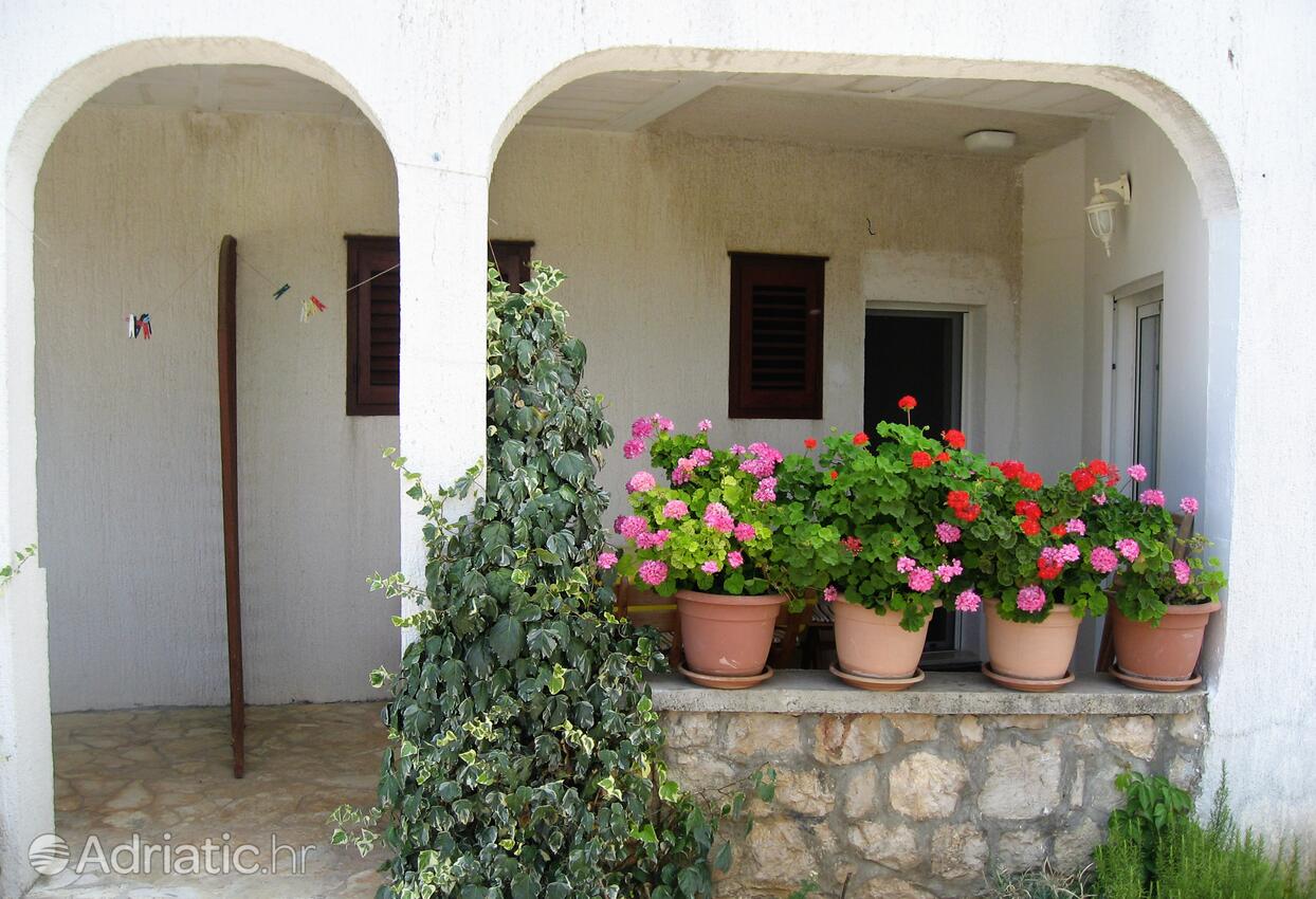 A-5120-g - Private accommodation - Apartments by the sea Jezera, Murter