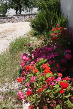 Apartments by the sea Jezera, Murter - 5120