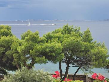 Three bedroom apartment Murter (A-5125-a(