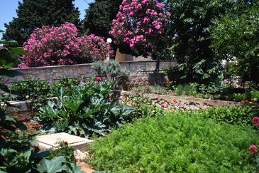 Apartments with balcony Tisno, North Dalmatia